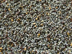 Afghan poppy seeds